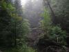 Misty river