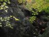 Dark rocks under bright leaves