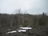 Dark rock piled high just east of the creek