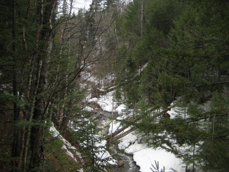 A cluttered creek far below