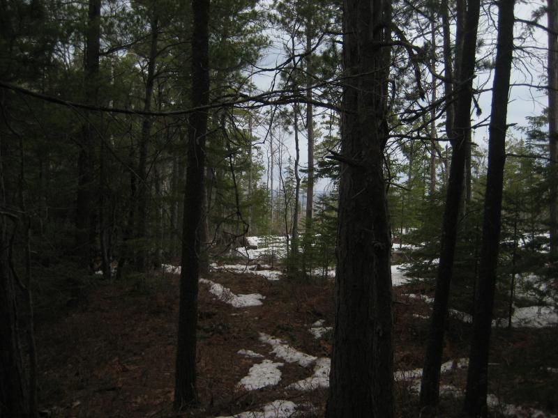 Distant Lake Superior in the north
