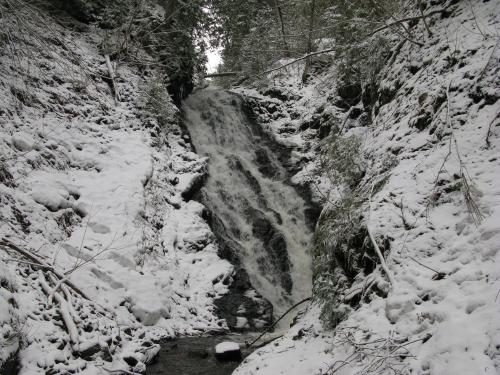 Snow dappled drop
