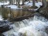 Tiny plunges above Upper Leatherby Falls