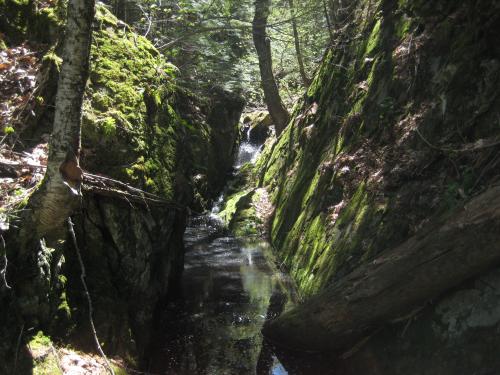 Long narrow pool
