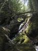 Mossy little gorge