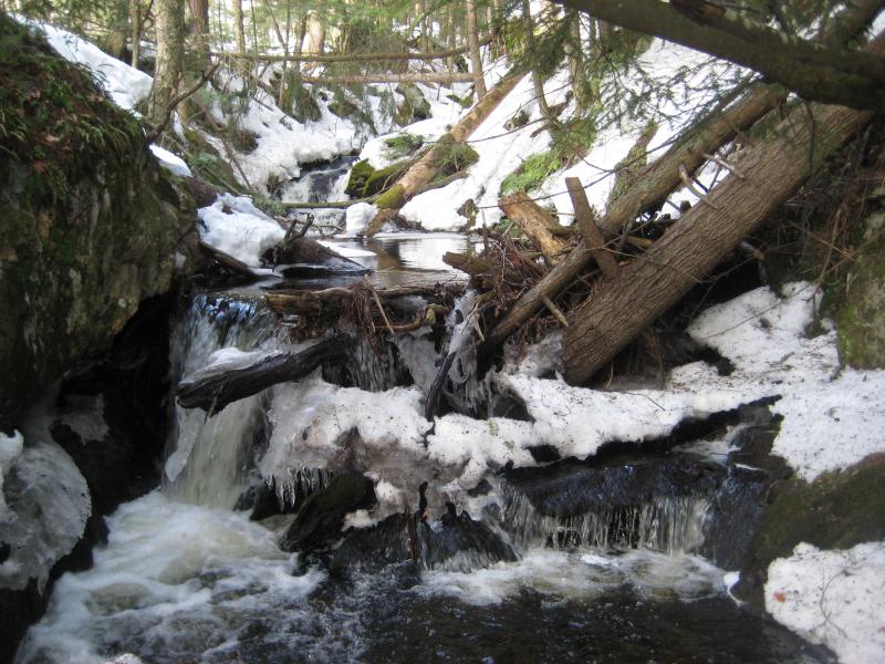 Jumbled logs blocking the creek