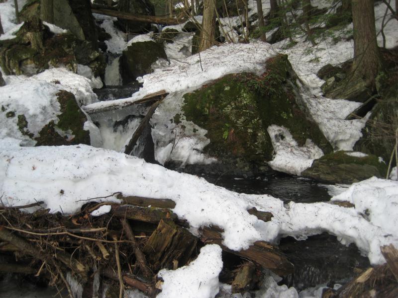 Logs jamming up the creek