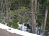 Looking down on the creek
