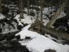 Split falls around downed trees