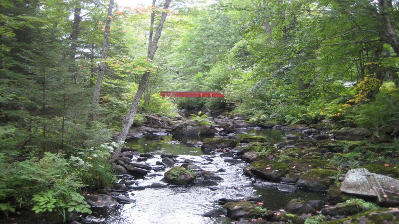 Looking back at the simple bridge