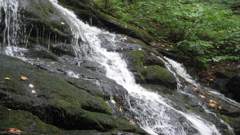 Close to the fourth drop and its dripping moss