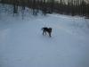 Logan tooling along on the empty road