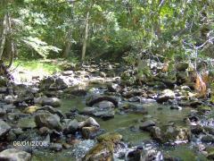 A rocky walk upstream