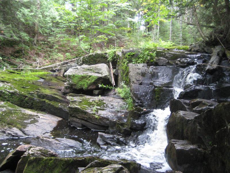 Sharp mossy rocks