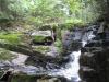Sharp mossy rocks