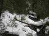 Logs and branches clogging the creek