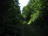 Overgrown two-track east of the river