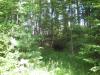 Swamp intruding on the north side of the track