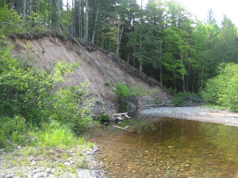 A familiar old sand bank