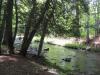 Easy walk along the river banks