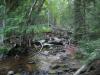 Cluttered downstream river