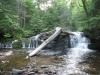 Falls with a log