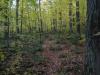 Early morning on the McCormick Tract