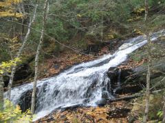 Slides and drops on the West Branch