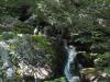 Lower falls in Wildcat Canyon