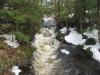 Channel emptying swamps into the woods
