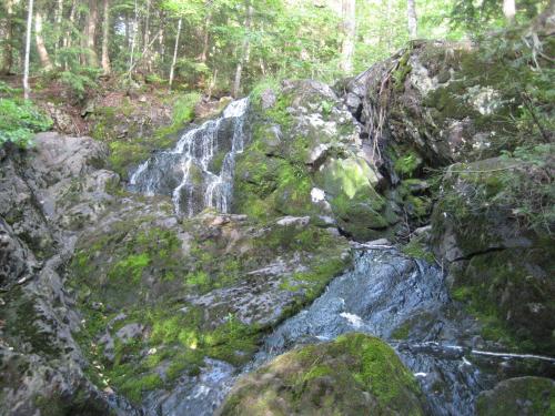 Dry, mossy rocks