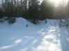 Evening sun over the trailhead