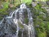 Trickling water down the mossy rock formation