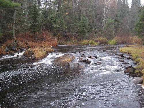 Tiny little falls on the Yellow Dog